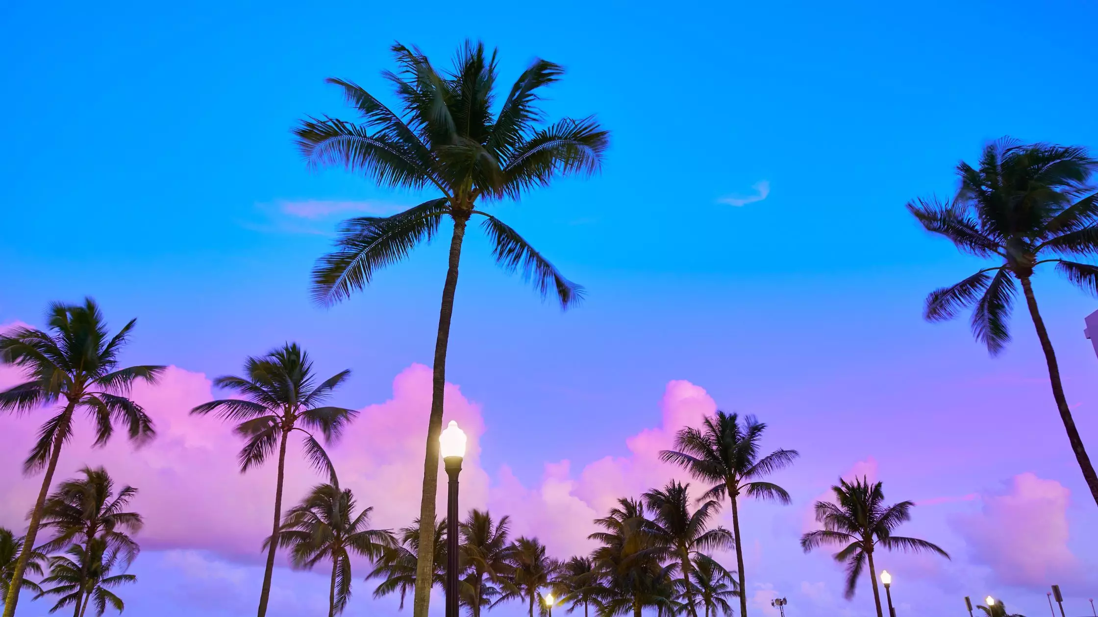 Foxe Chase neighborhood interior view